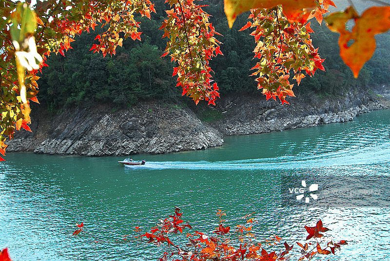 流溪河森林公园图片素材