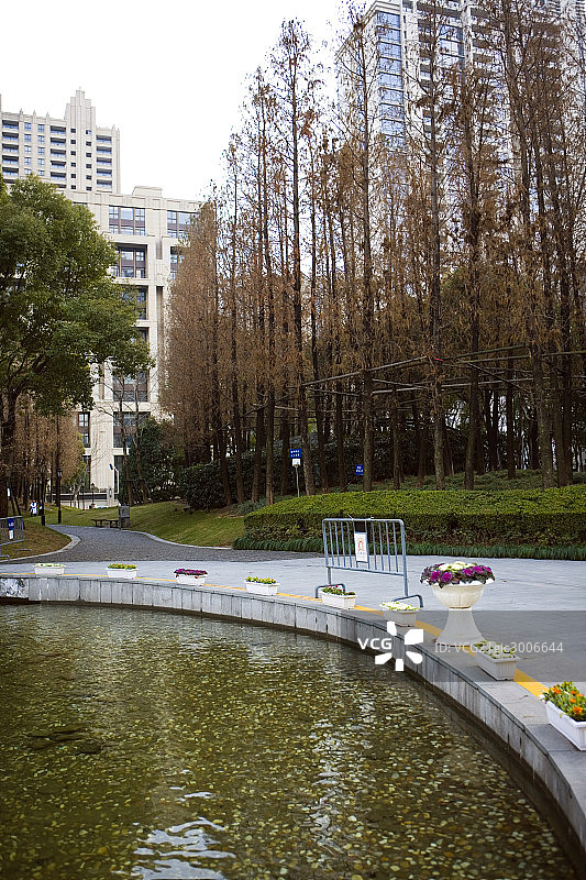上海,街景图片素材