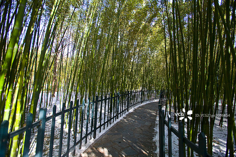 中山公园图片素材