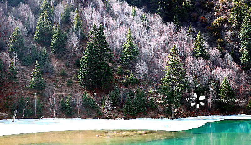 夹金山,自然风光图片素材