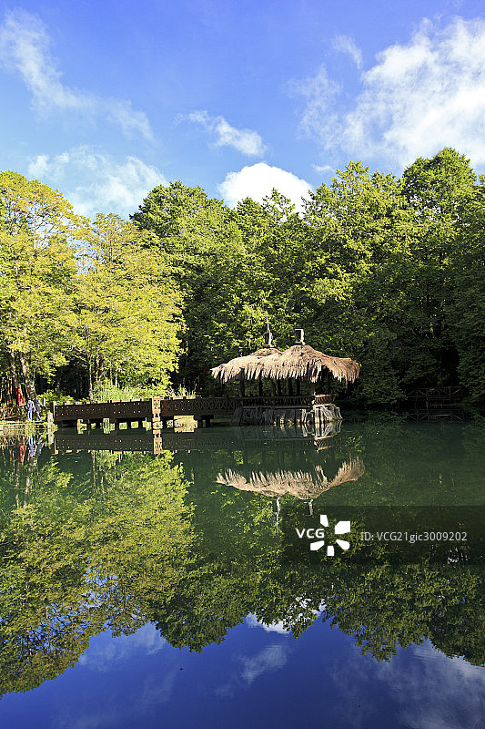 台湾阿里山风光图片素材