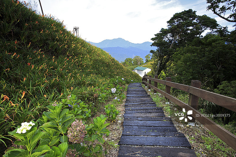 台湾东部太麻里金针山图片素材