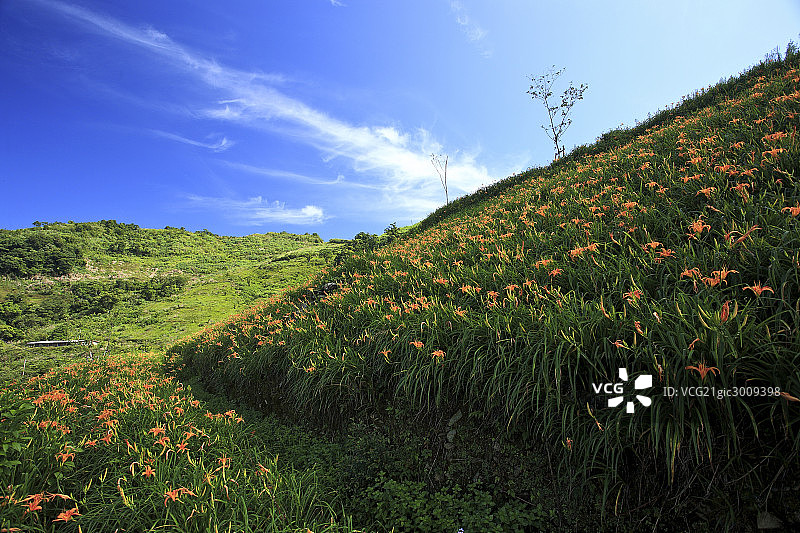 台湾东部太麻里金针山图片素材