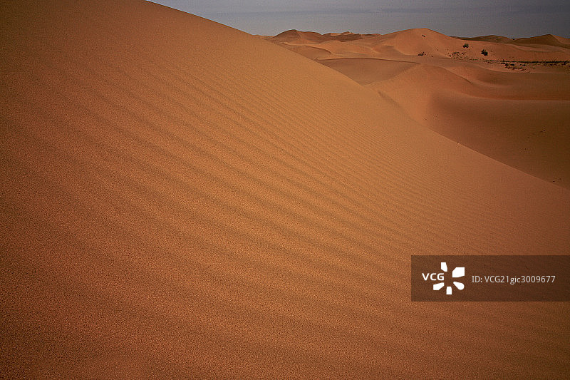 宁夏中卫沙坡头图片素材