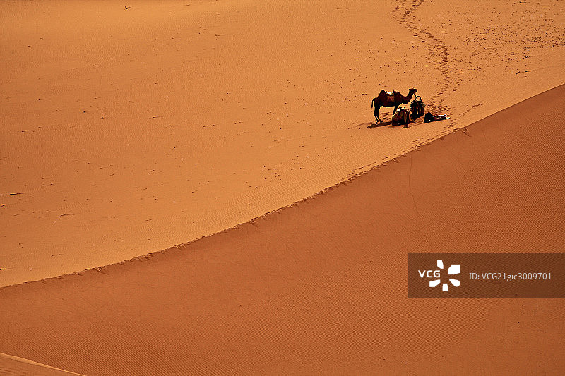 宁夏中卫沙坡头图片素材