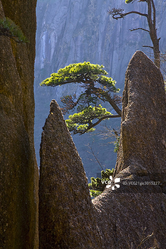 黄山图片素材