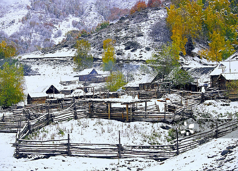 禾木图片素材