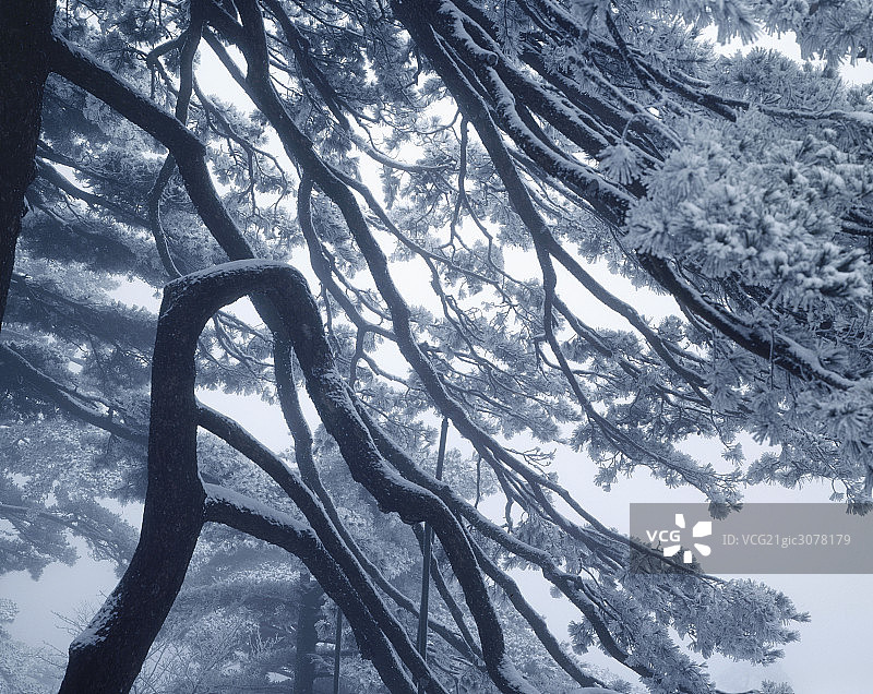 黄山雪景图片素材