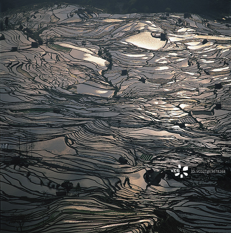 云南元阳梯田图片素材