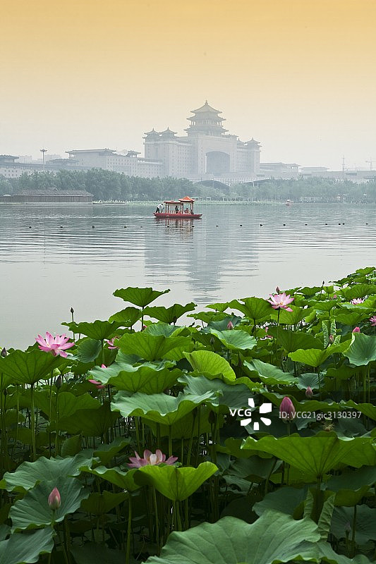 中国,北京,莲花池图片素材
