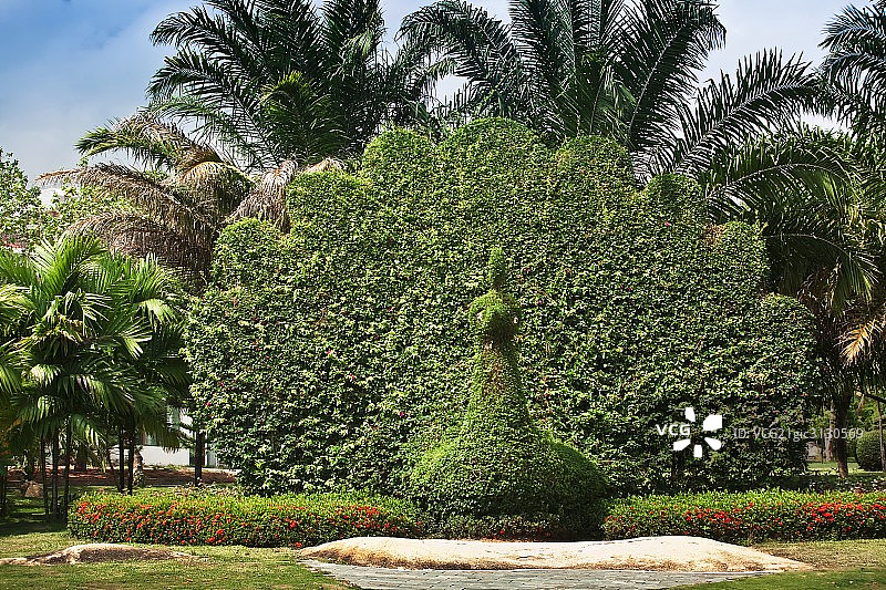 海南三亚大东海图片素材