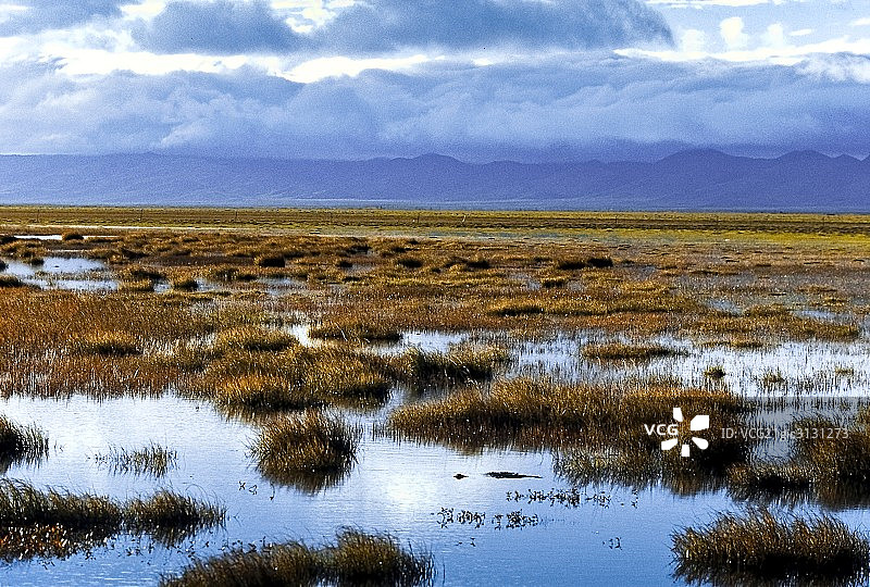 有中国最美沼泽之称的若尔盖湿地图片素材