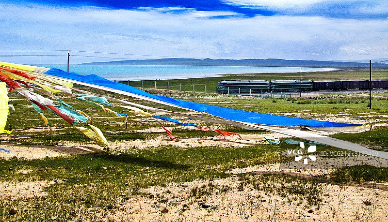 青海，龙羊峡，油菜花图片素材
