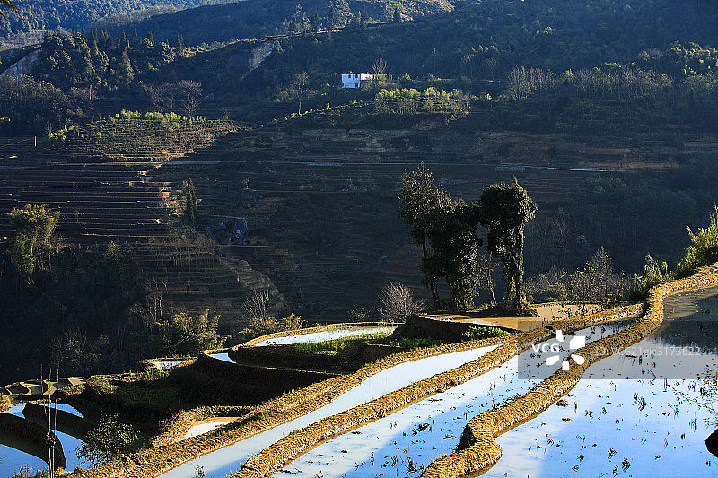 云南元阳梯田图片素材