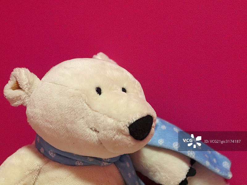 玩具熊特写图片素材