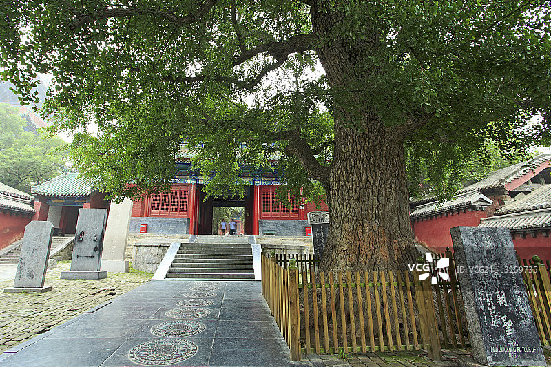 河南嵩山少林寺图片素材