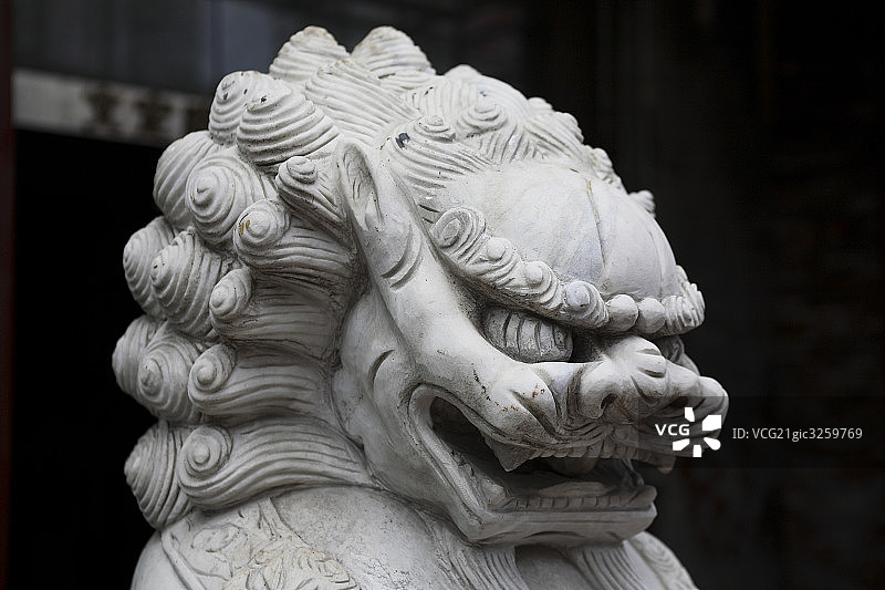 中国传统石狮子图片素材