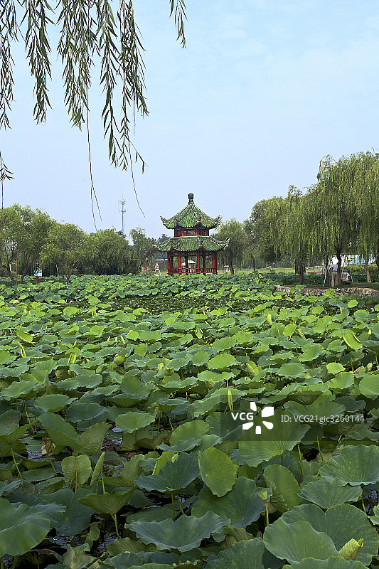 河南开封铁塔图片素材