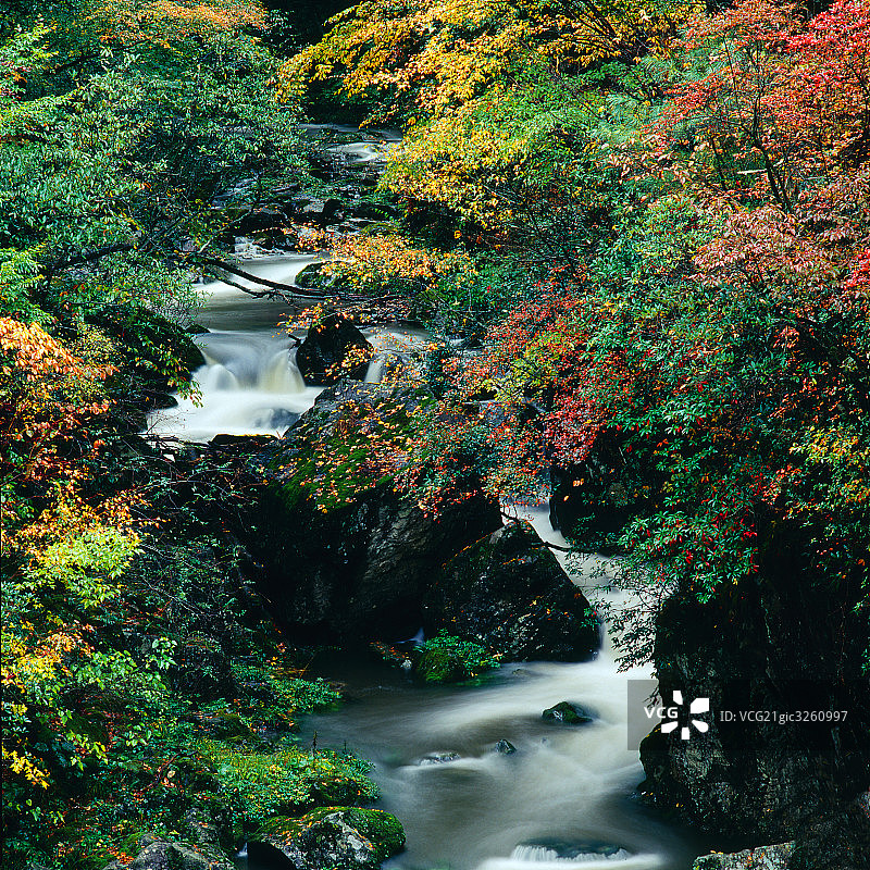 四川光雾山秋色图片素材
