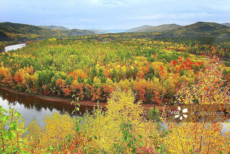 呼伦贝尔草原，白鹿岛图片素材