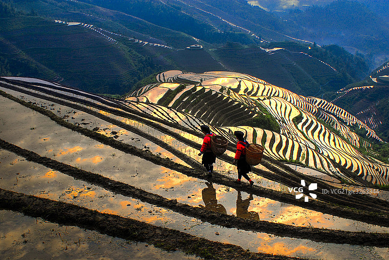 宁静的龙胜梯田图片素材