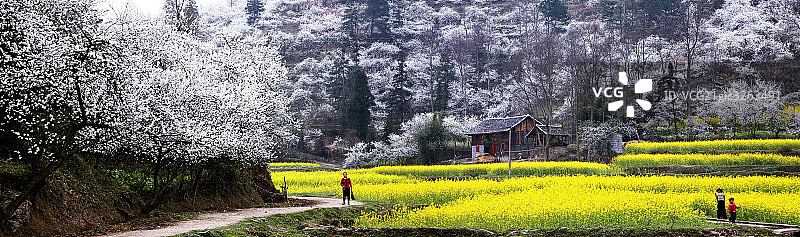 贵州田原风光图片素材