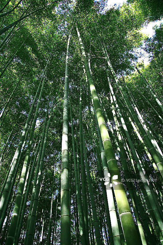 日本风光图片素材