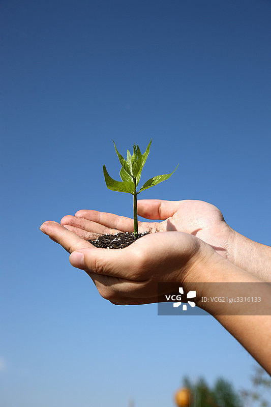 环境保护图片素材