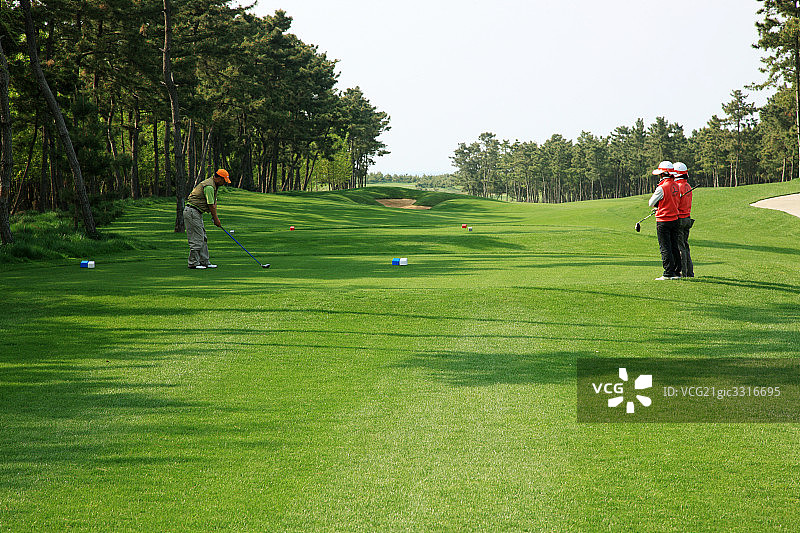高尔夫球场图片素材