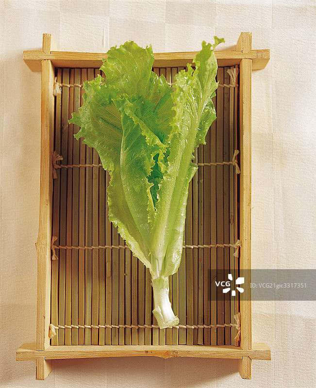 绿色蔬菜图片素材