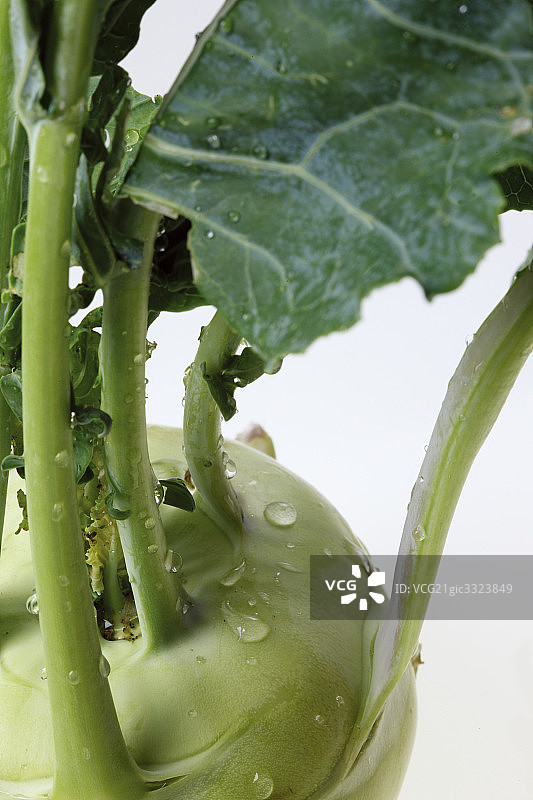 蔬菜图片素材