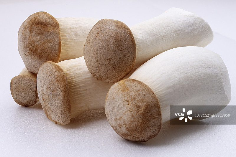蘑菇图片素材