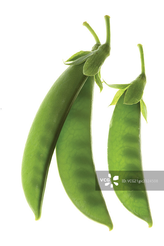 蔬菜-荷兰豆图片素材