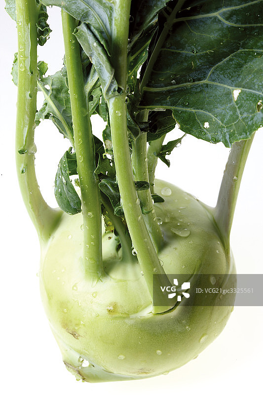 蔬菜图片素材