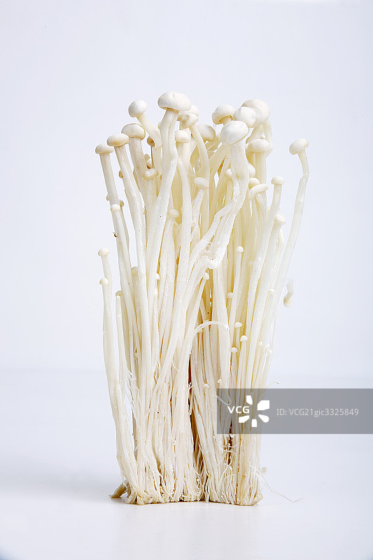金针菇图片素材