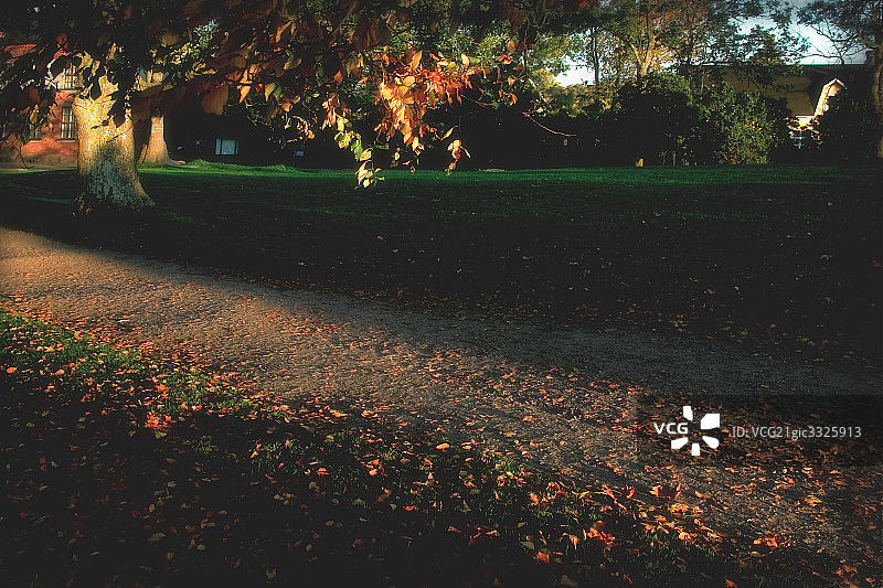 夕照公园图片素材