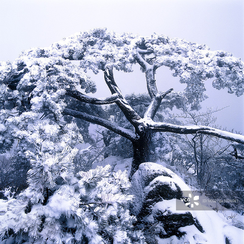 中国南方山地雪景图片素材