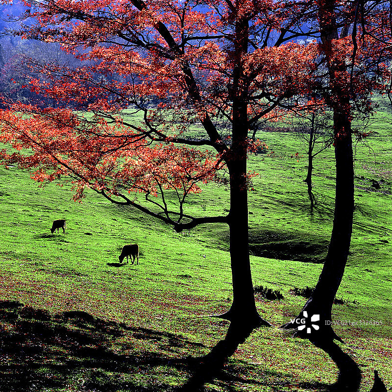 长白山风光图片素材