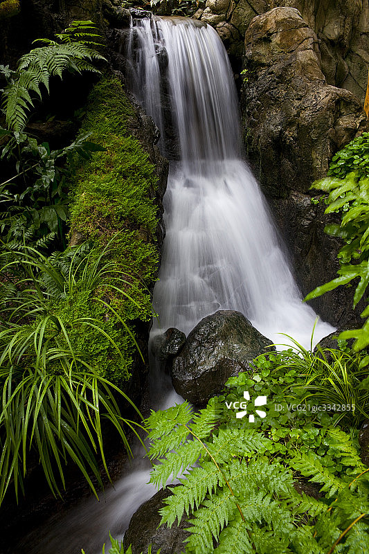 香港公园图片素材