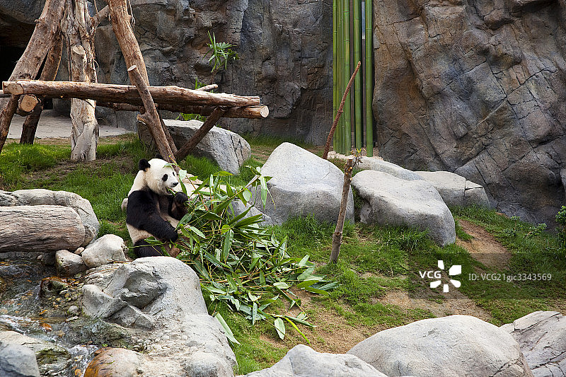香港海洋公园图片素材