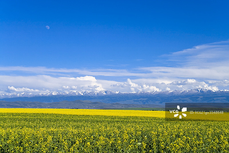 天山图片素材