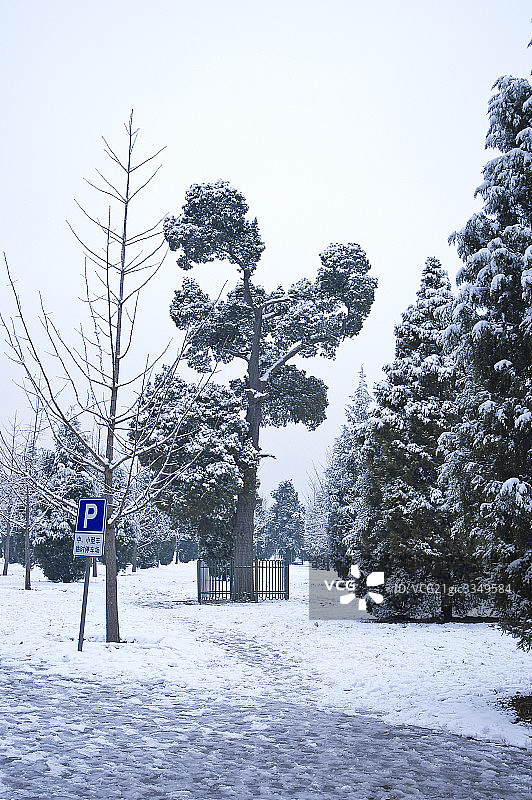 冬日雪后的北京图片素材