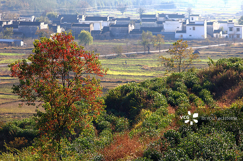 安徽黟县塔川村图片素材