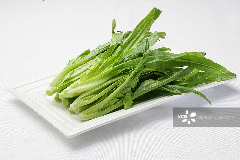 油麦菜图片素材