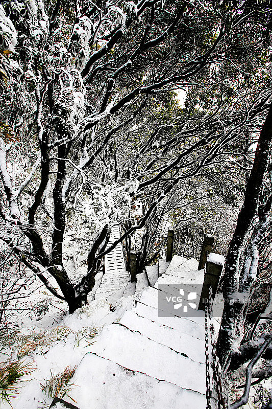 重庆金佛山雪景图片素材