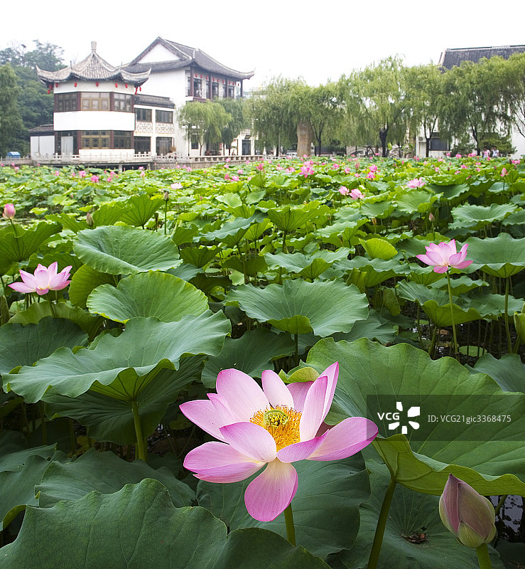 河北省秦皇岛北戴河图片素材