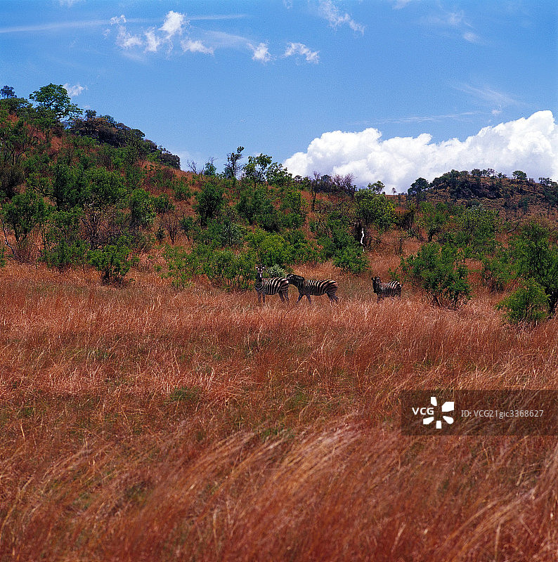 南非风光图片素材