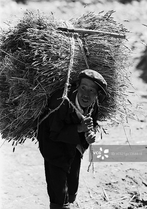 97年甘肃定西农民图片素材