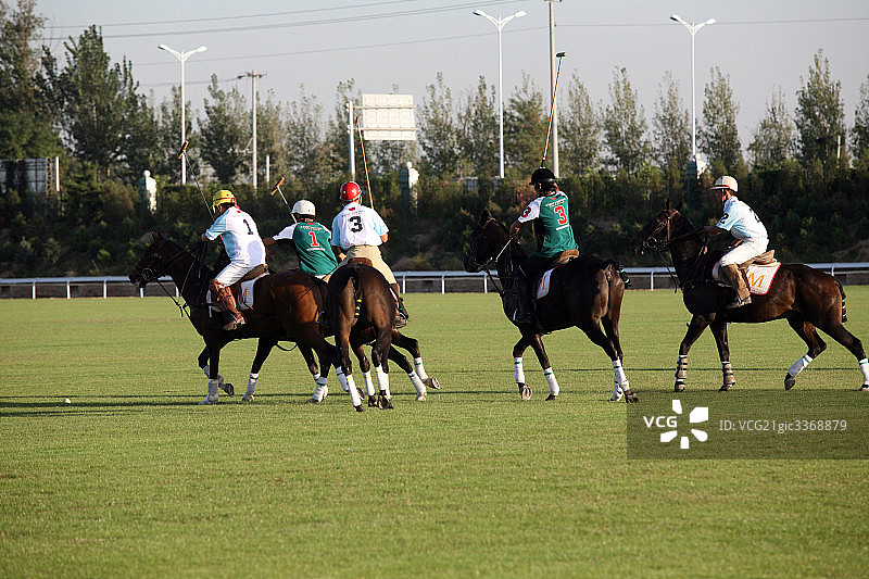 马术图片素材
