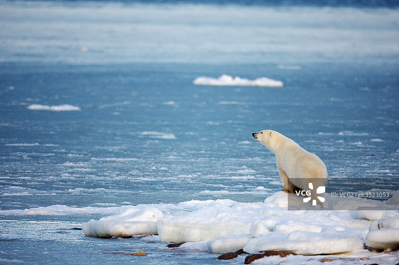 北极图片素材